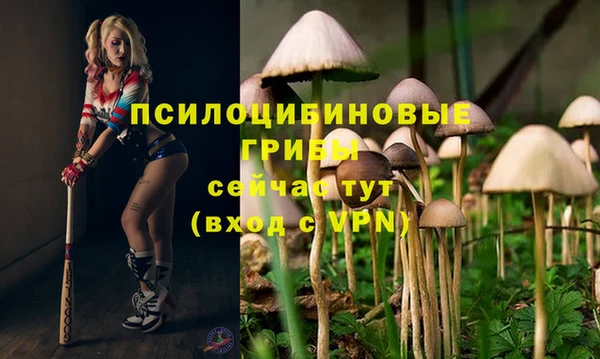 мет Алексеевка