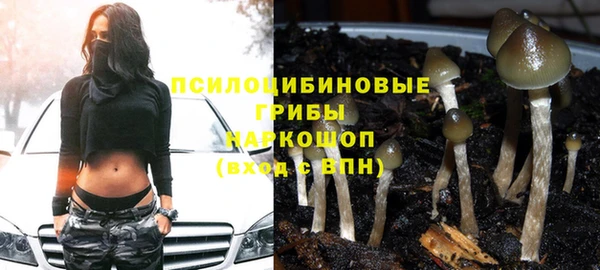 шишки Ростов