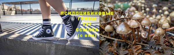 каннабис Алексин